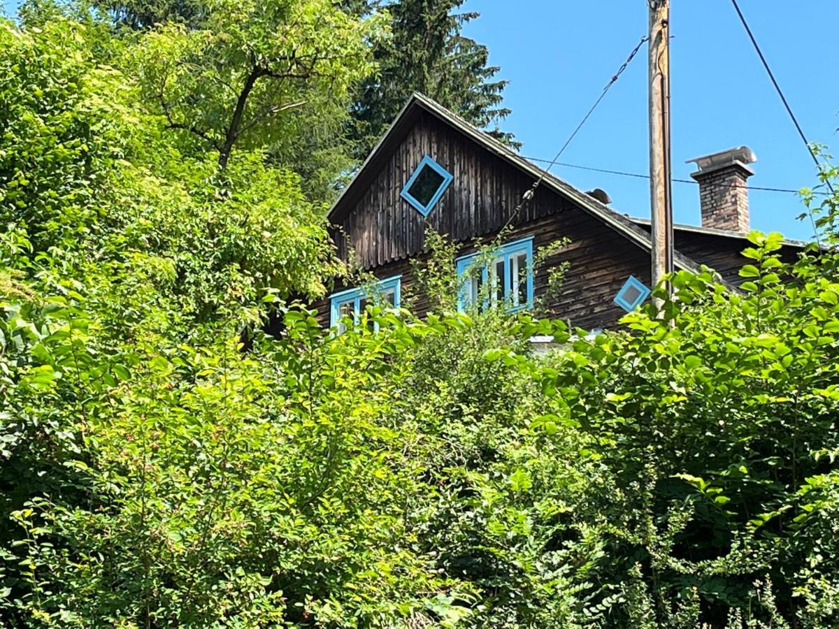 Alba Mountain Apartment Gusswerk